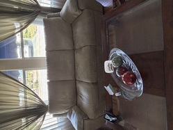 Sage couch and lovesest